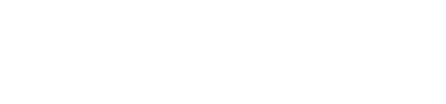 305 Prime Service Logo